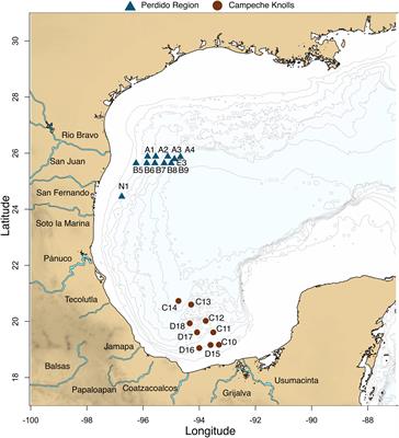 Metagenomic Profiling and Microbial Metabolic Potential of Perdido Fold Belt (NW) and Campeche Knolls (SE) in the Gulf of Mexico